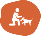 A person is kneeling down to pet a dog.