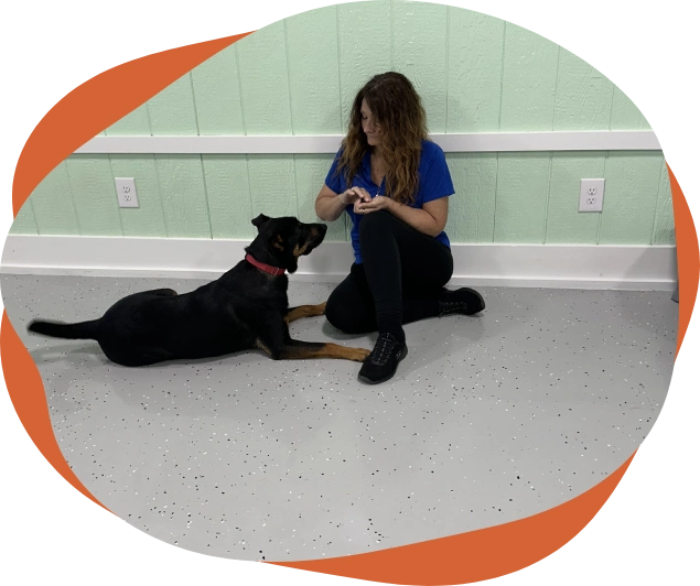 A woman sitting on the ground with her dog.